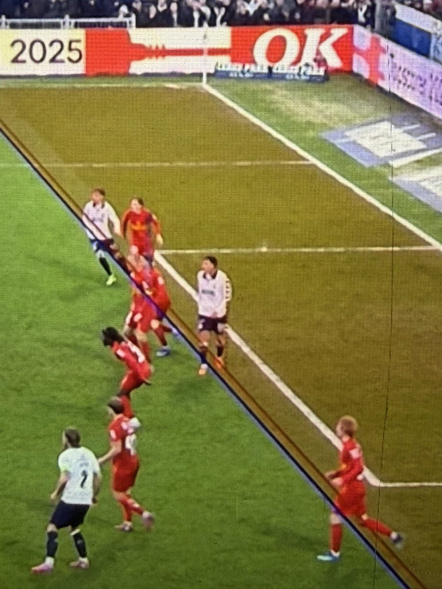 XTheBerg tweet media