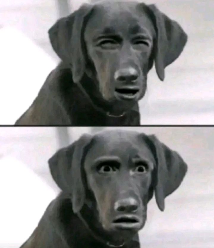 ENHYPEN IS 7 tweet media