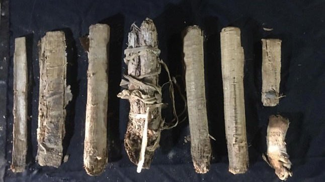 drtwelsh's tweet photo. Egyptian tomb reveals 3,000-year-old scrolls with hidden secrets https://t.co/dwxMWem7x2 https://t.co/CN5y4dKn9H