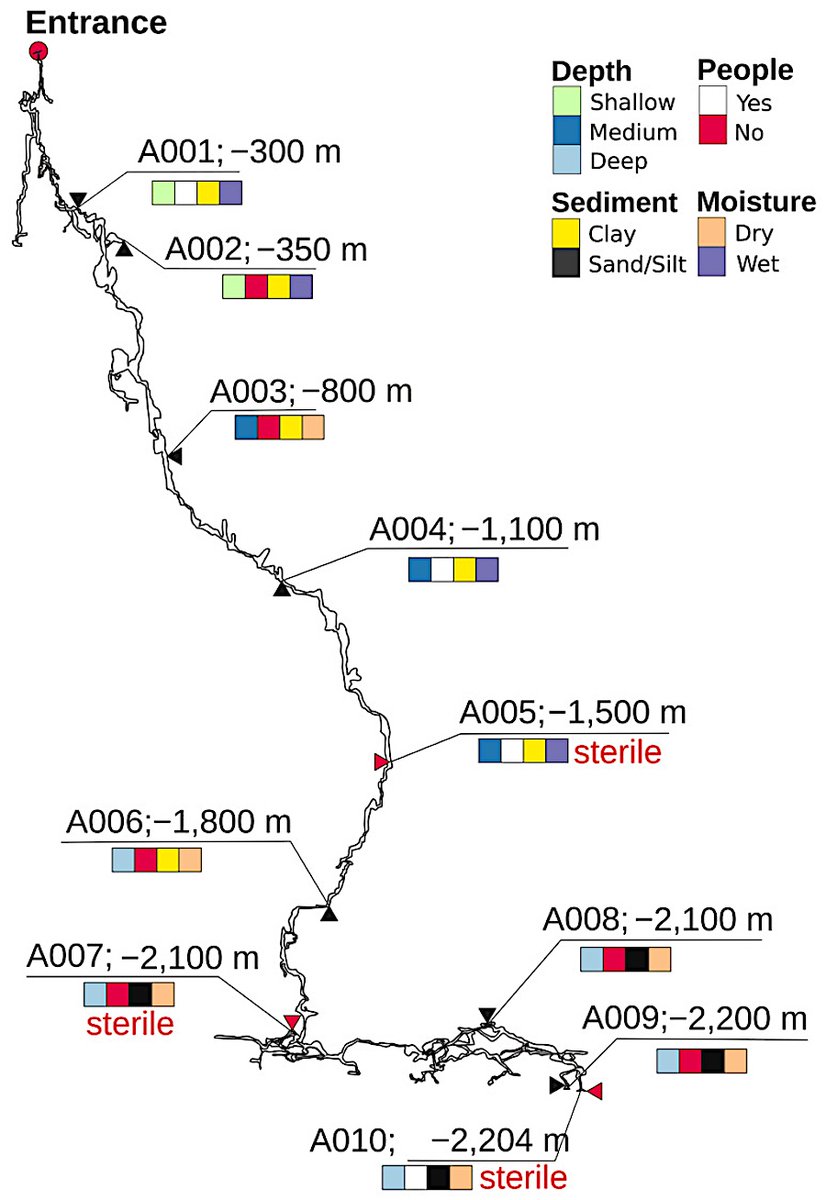 astrobiology's tweet image. Evaluation Of The Bacterial Diversity In The World’s Deepest Cave—Veryovkina, Arabika Massif, Western Caucasus
astrobiology.com/2026/04/evalua… #astrobiology #microbiology #genomics #biosiversity #spelunking