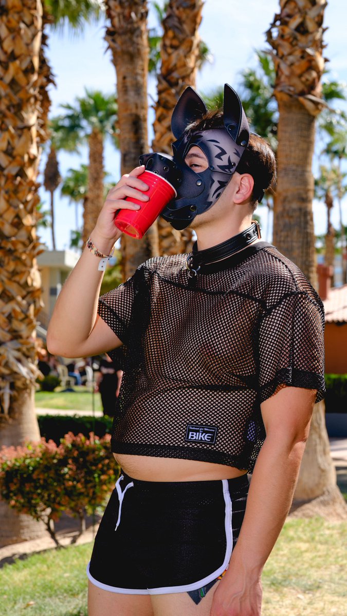 DozingUnicorn 🔜 AC tweet media