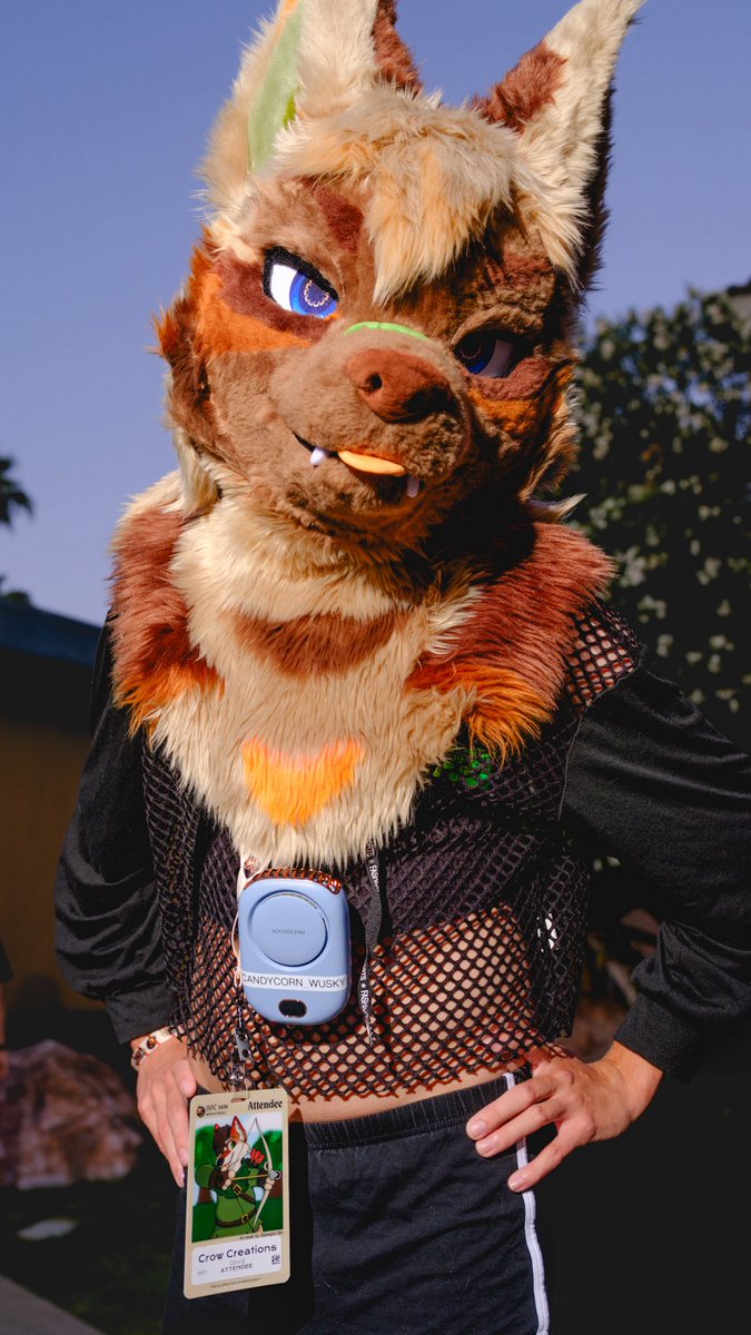 DozingUnicorn 🔜 AC tweet media