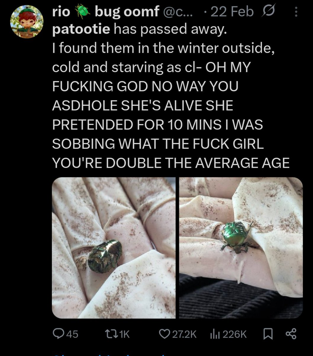 rio 🪲 bug oomf tweet media