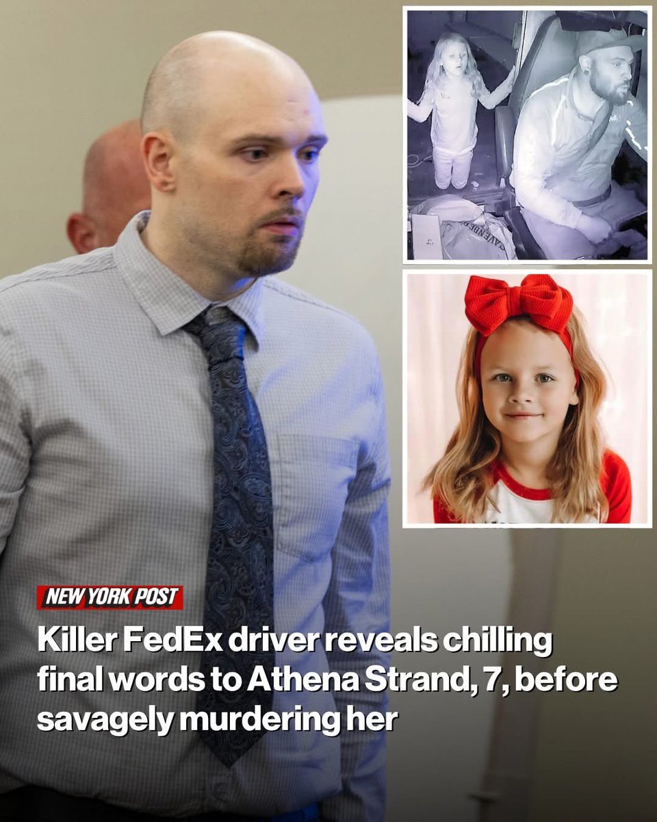 Constitutional Gator tweet media