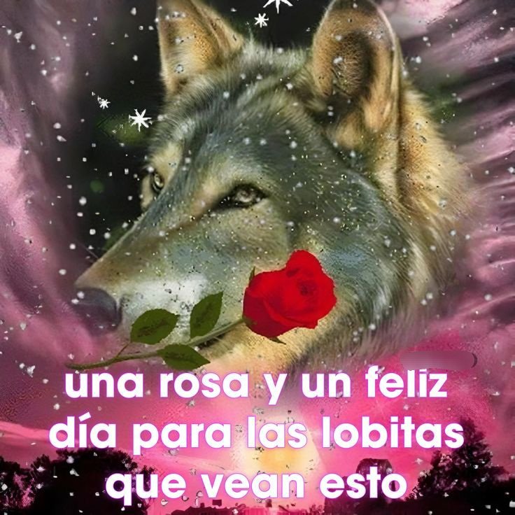 Eikō ♡ tweet media