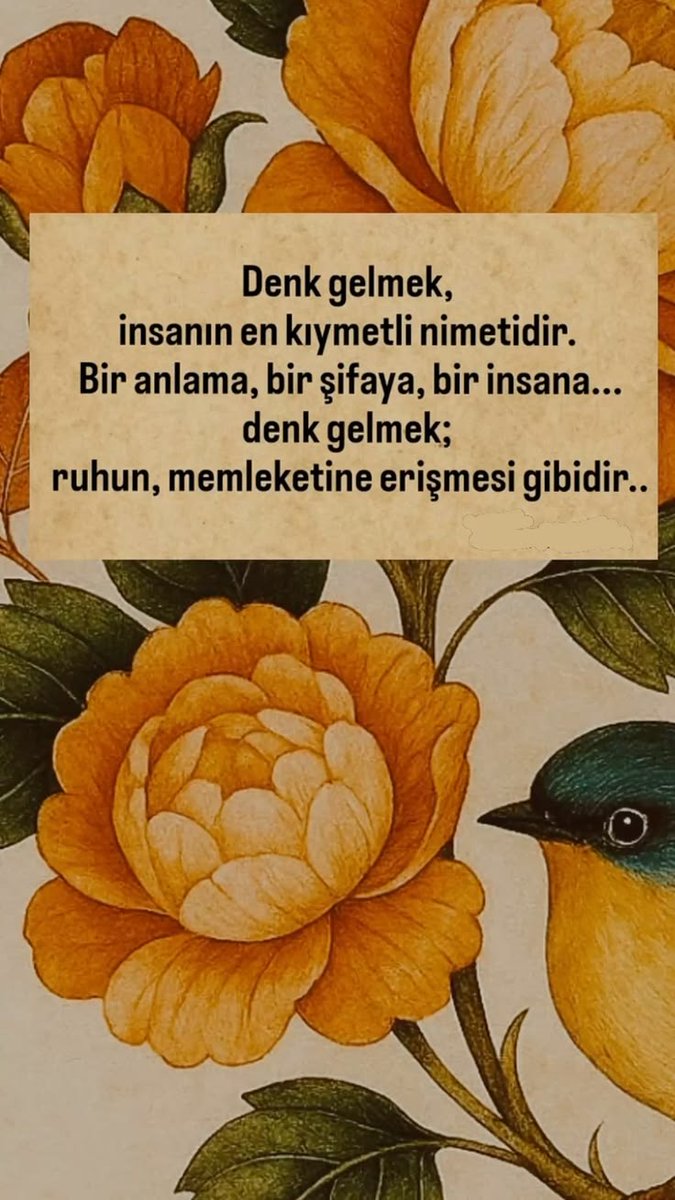 Denk gelmek..
#iyiakşamlar