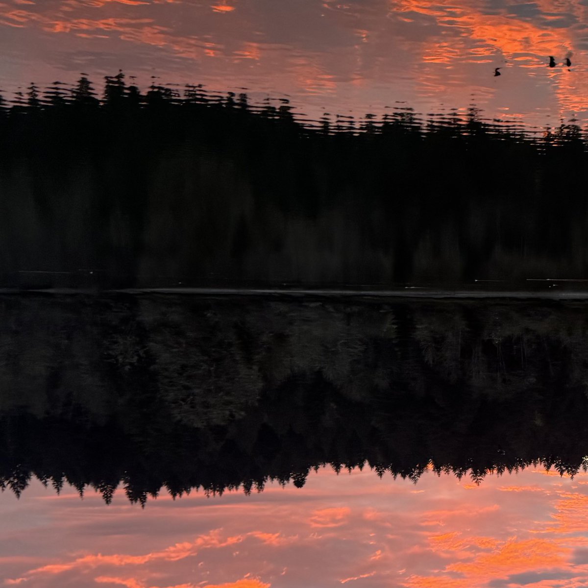 clowdmaxxing tweet media