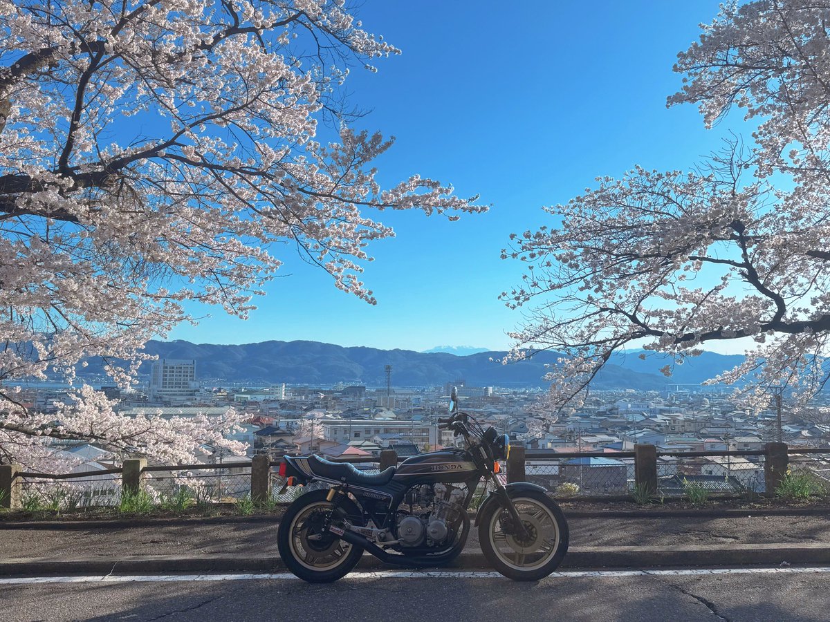 BOW！＠まさる tweet media