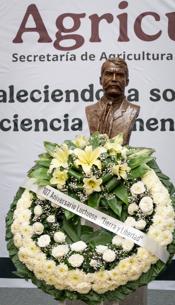 JulioBerdegue's tweet photo. Hace 107 años fue asesinado el General Emiliano Zapata Salazar, comandante del Ejército Libertador del Sur y autor del Plan de Ayala que inspiró la Reforma Agraria mexicana.

Su mayor legado es la propiedad social, ejidos y comunidades que aún hoy cubren más de la mitad del territorio nacional.

Hoy rendimos homenaje en @Agricultura_mex al mayor héroe del campesinado mexicano.