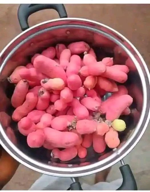 Eastern Heritage Network tweet media