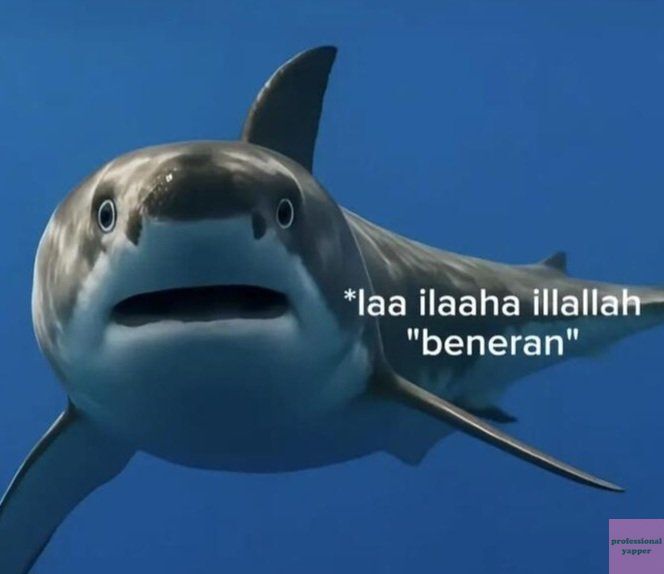 YAPPINGFESS tweet media