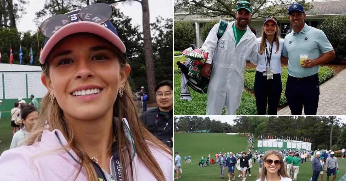 Lovable Liberal and his Old English sheepdog tweet media