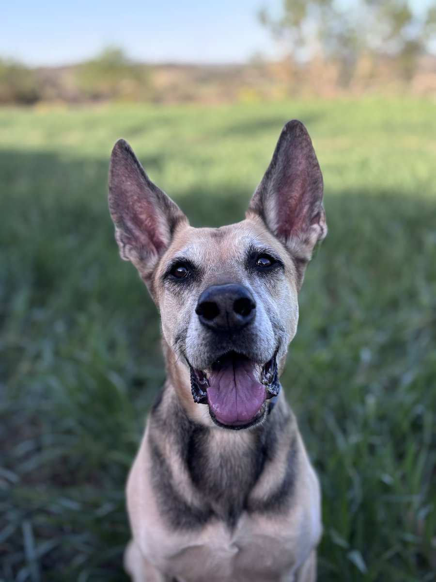 Darkness tweet media