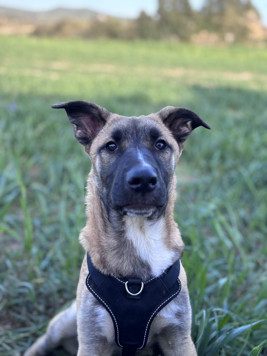 Darkness tweet media