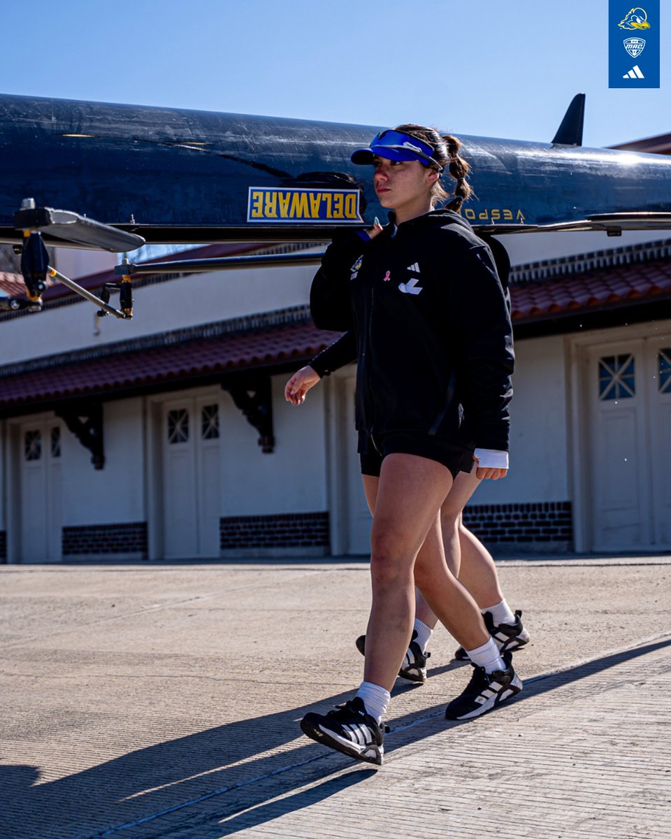 Delaware Rowing tweet media