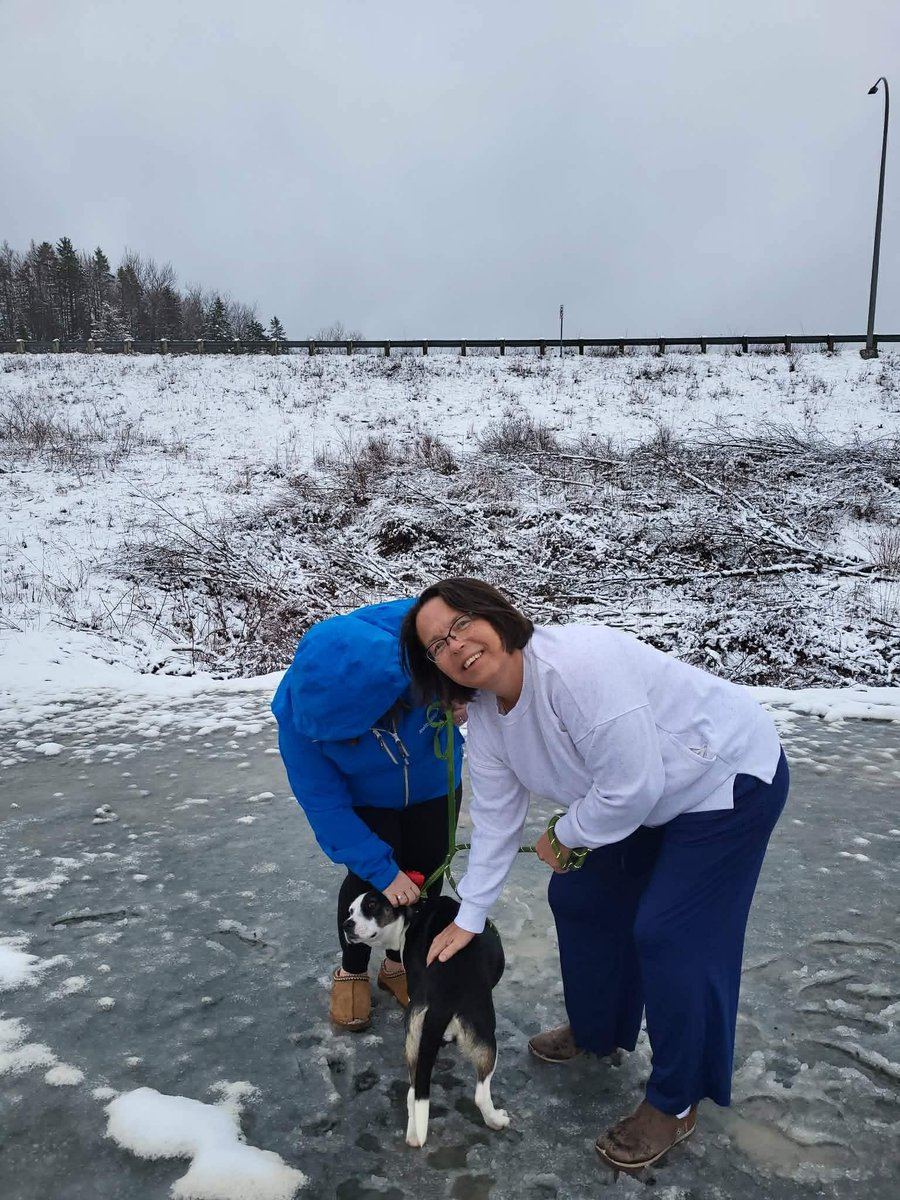 Furever Homes Dog Rescue of SETX tweet media