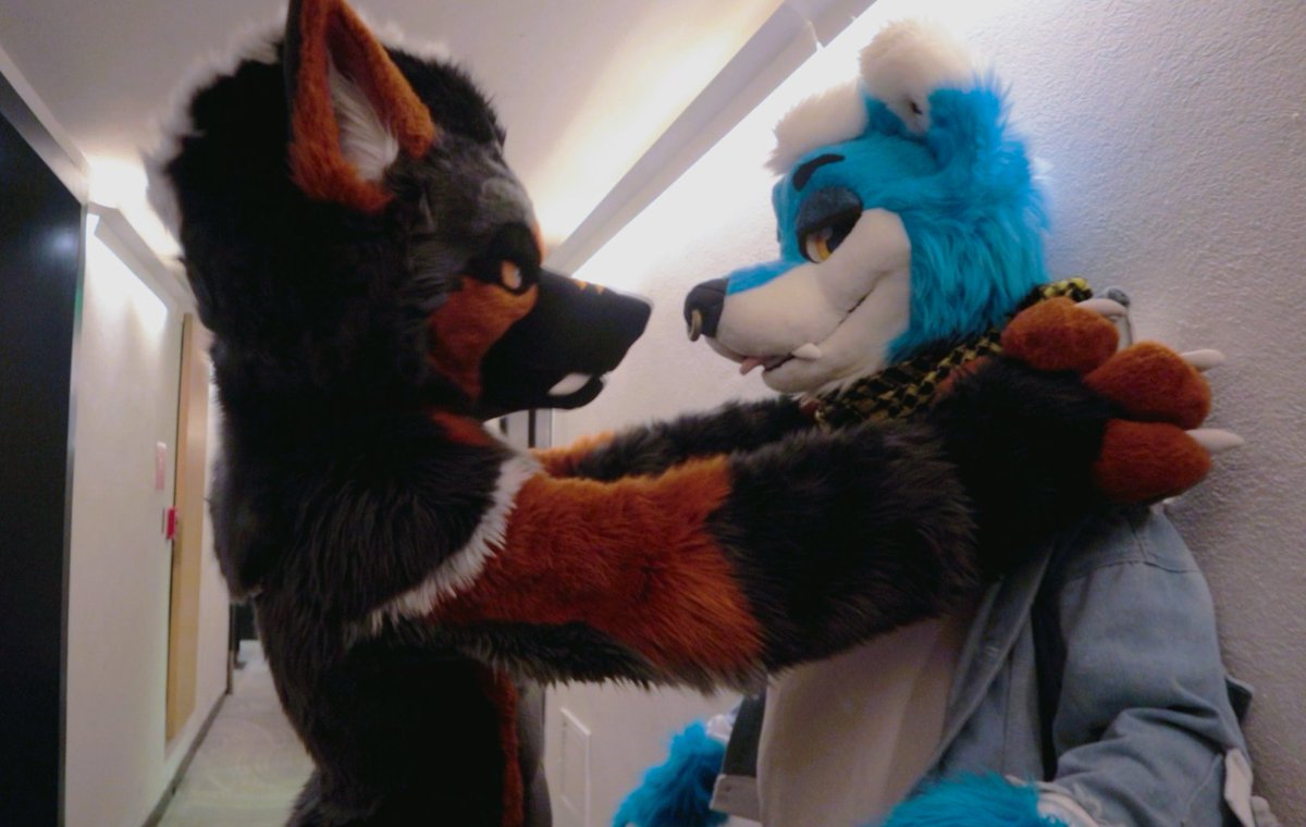 Yo Soy Wolfhug 🌠 tweet media