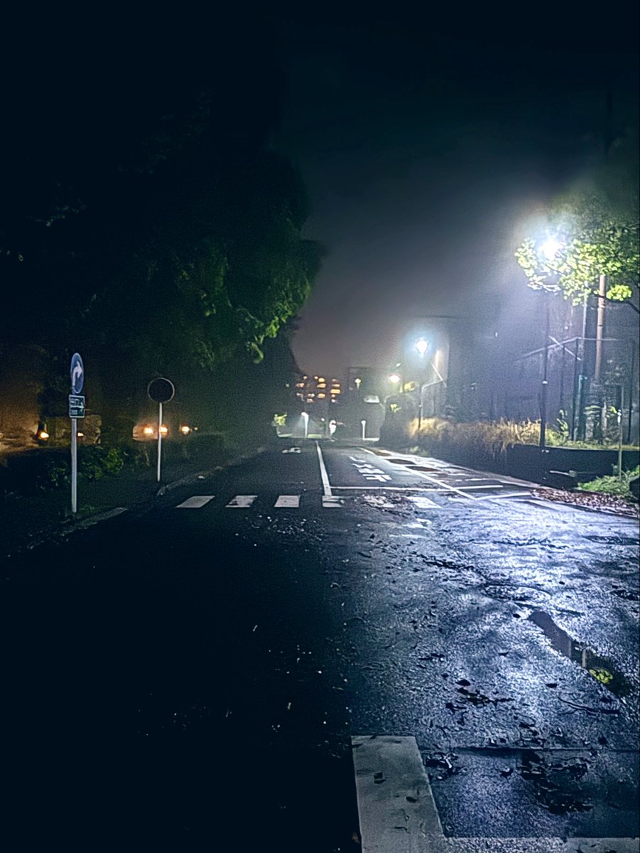 自分の人生のようだ、即ち五里霧中