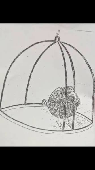 2KMethodology tweet media