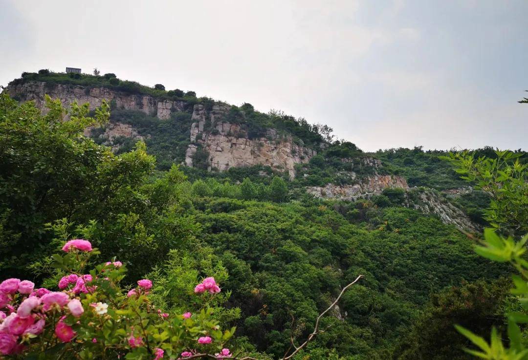 gundo justin tweet media