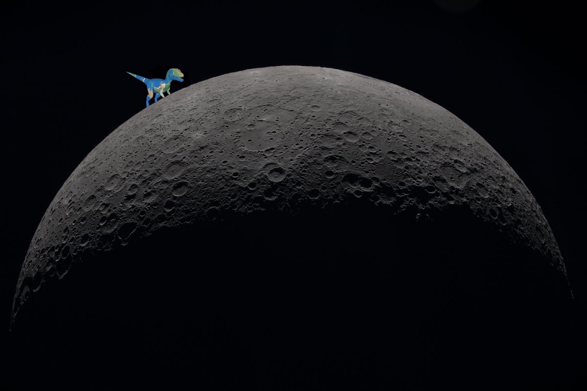 What the astronauts really saw