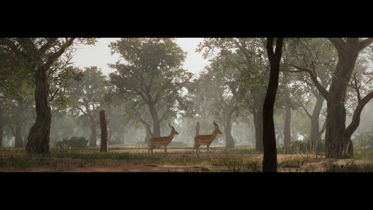 marc_817's tweet photo. A veces planet zo puede ser bonito

el impala ya está fuera, se acabaron las fotos :) https://t.co/LgUZcGKi1c