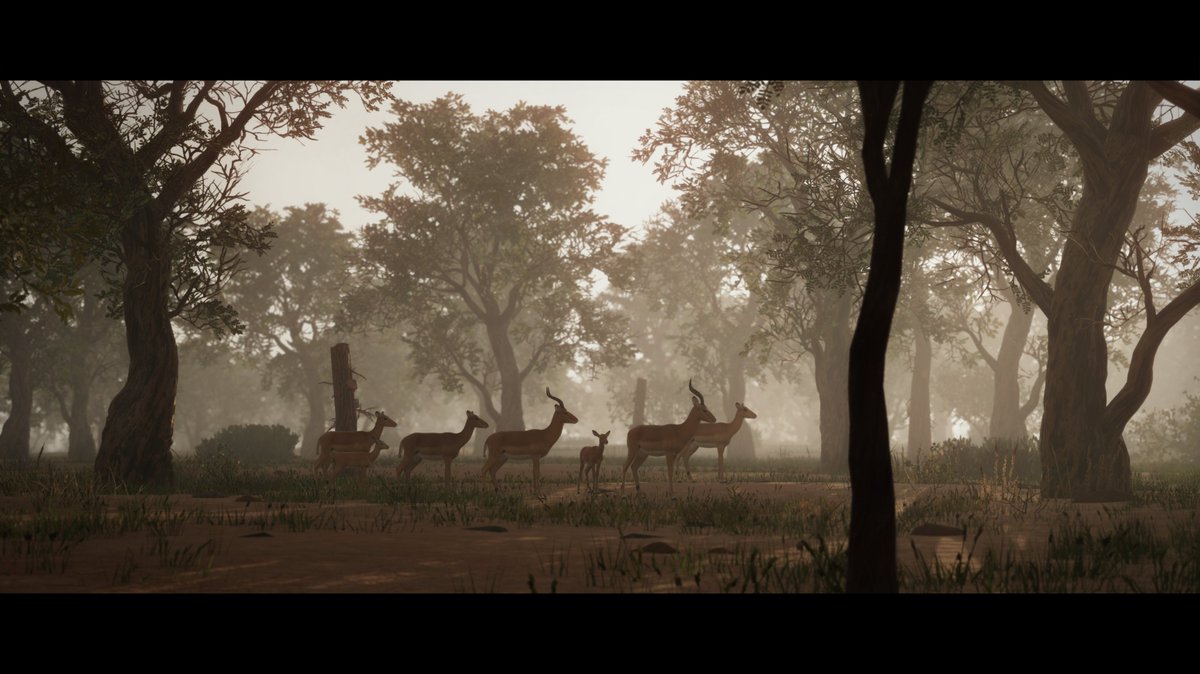 marc_817's tweet photo. A veces planet zo puede ser bonito

el impala ya está fuera, se acabaron las fotos :) https://t.co/LgUZcGKi1c