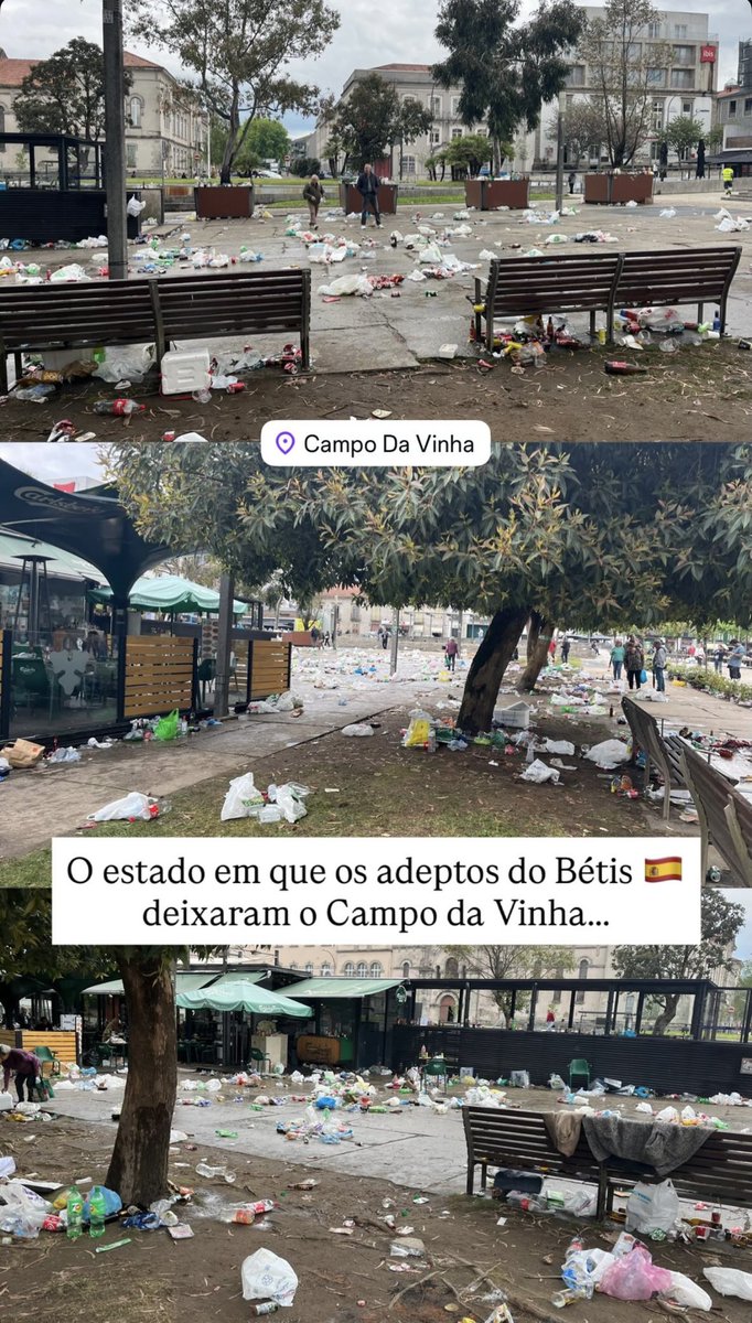 Rsar 🕊️ tweet media