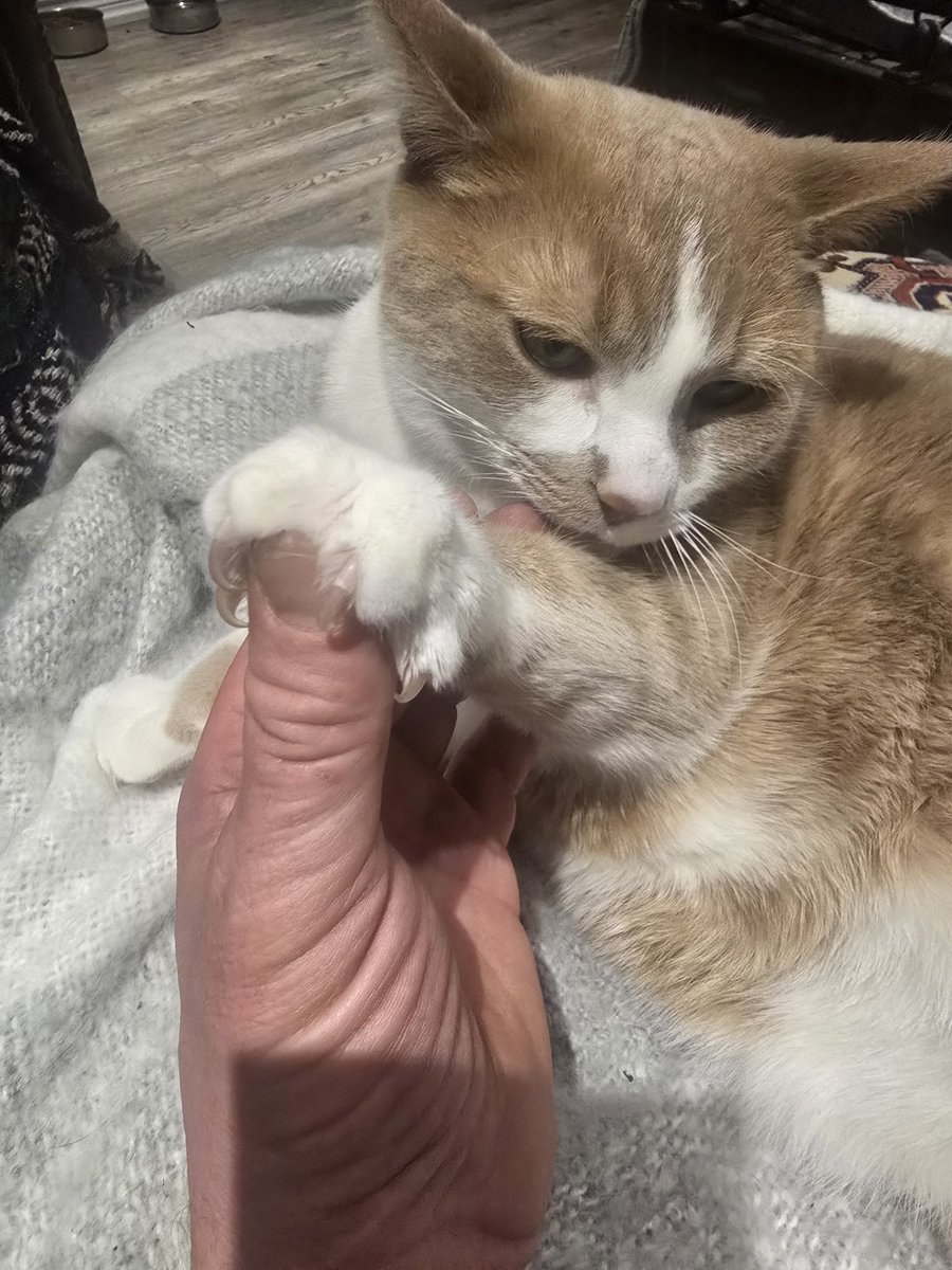 Reality Dysfunction tweet media