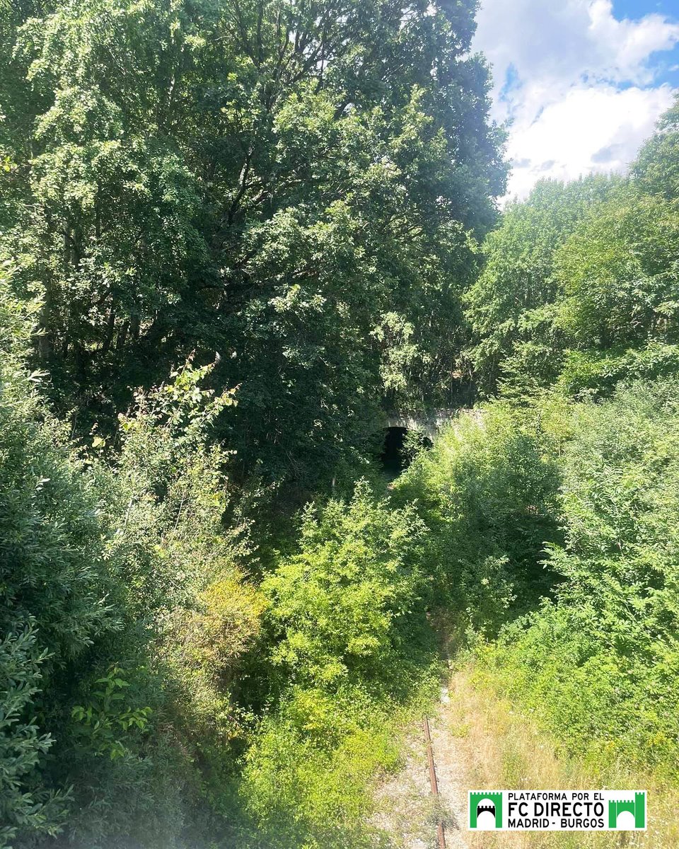 Directo de Burgos tweet media