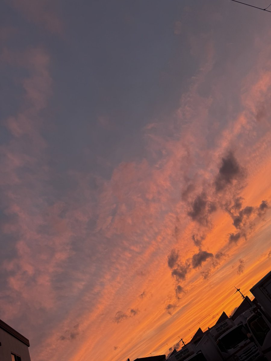 夕焼けが綺麗だった。