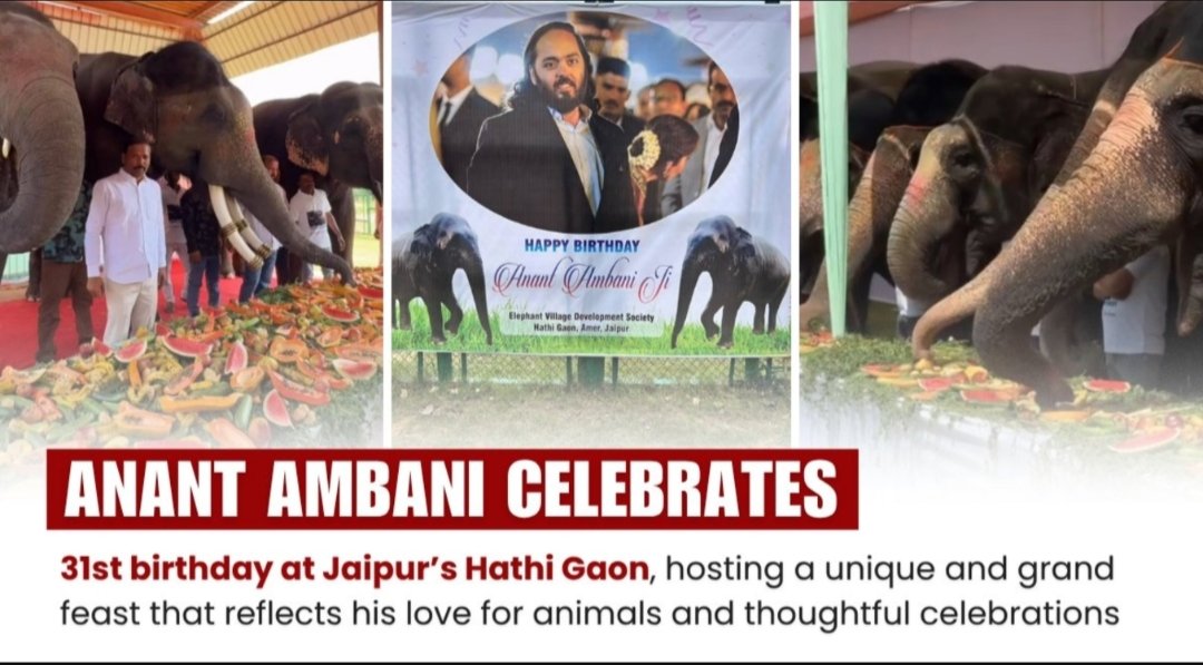 Kekasaha249514's tweet image. #AnantKiSeva  অনন্ত আম্বানির ১৮ কোটি টাকার অনুদান কেরালার মন্দির ও প্রাণী কল্যাণে সংস্কৃতি সংরক্ষণ ও মানবিকতার প্রতীক। তার এই উদ্যোগ সত্যিই প্রশংসার যোগ্য।