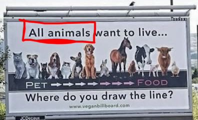 ⛹️✈️ and 99 others tweet media