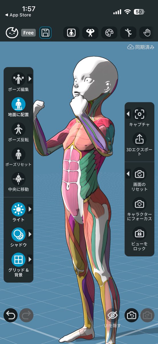 Necojita (ねこじた) tweet media