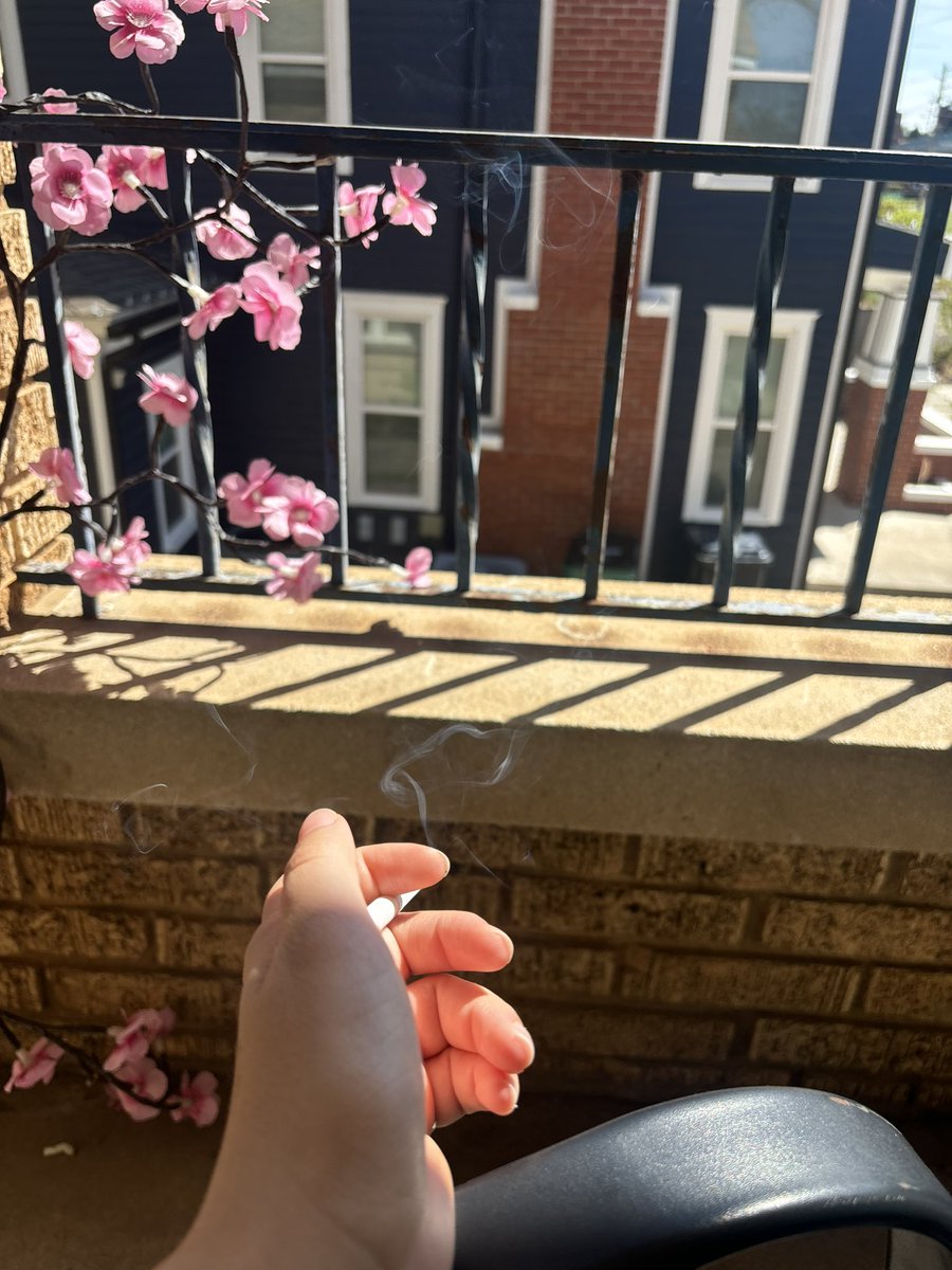 Goddess Indigo🌿🪬 tweet media