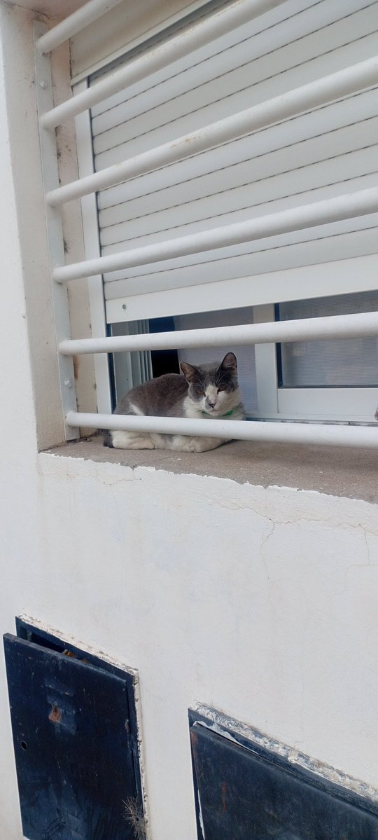 Dai ✨🍒 tweet media