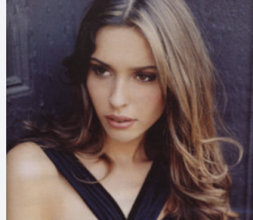 julie k. brown tweet media