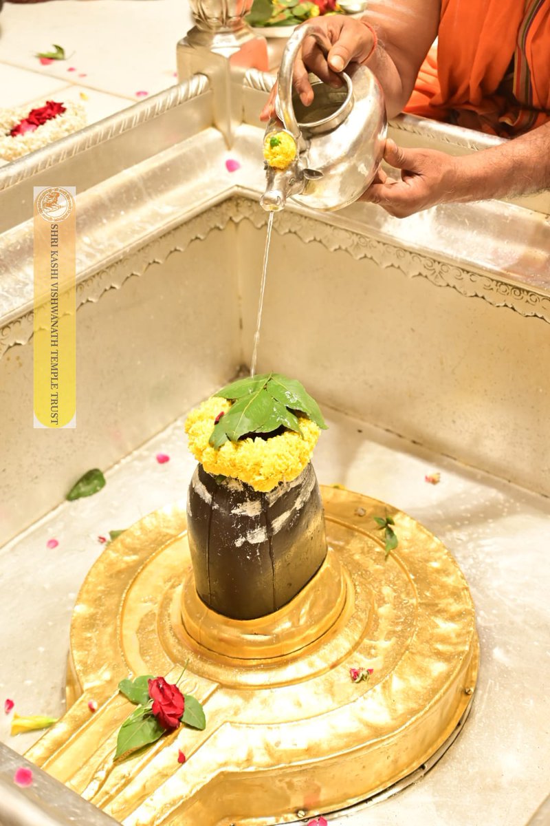 ShriVishwanath's tweet image. श्री काशी विश्वनाथ जी की श्रृंगार आरती I
#kashivishwanath #kashi #hindu #sanatandharm