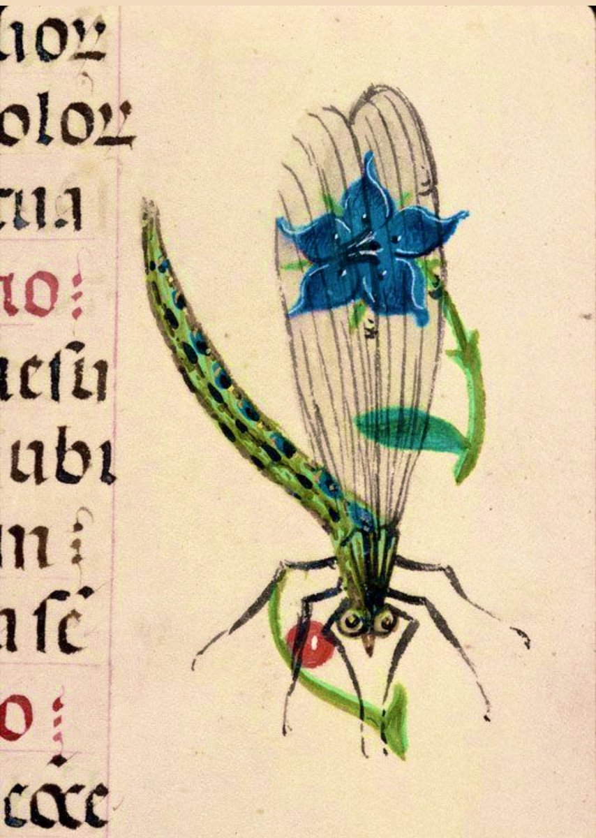 Plantagenet tweet media