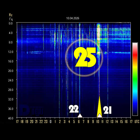 𝔻𝕚𝕤𝕔𝕝𝕠𝕤𝕦𝕣𝕖 ℕ𝕖𝕨𝕤 🔅 tweet media