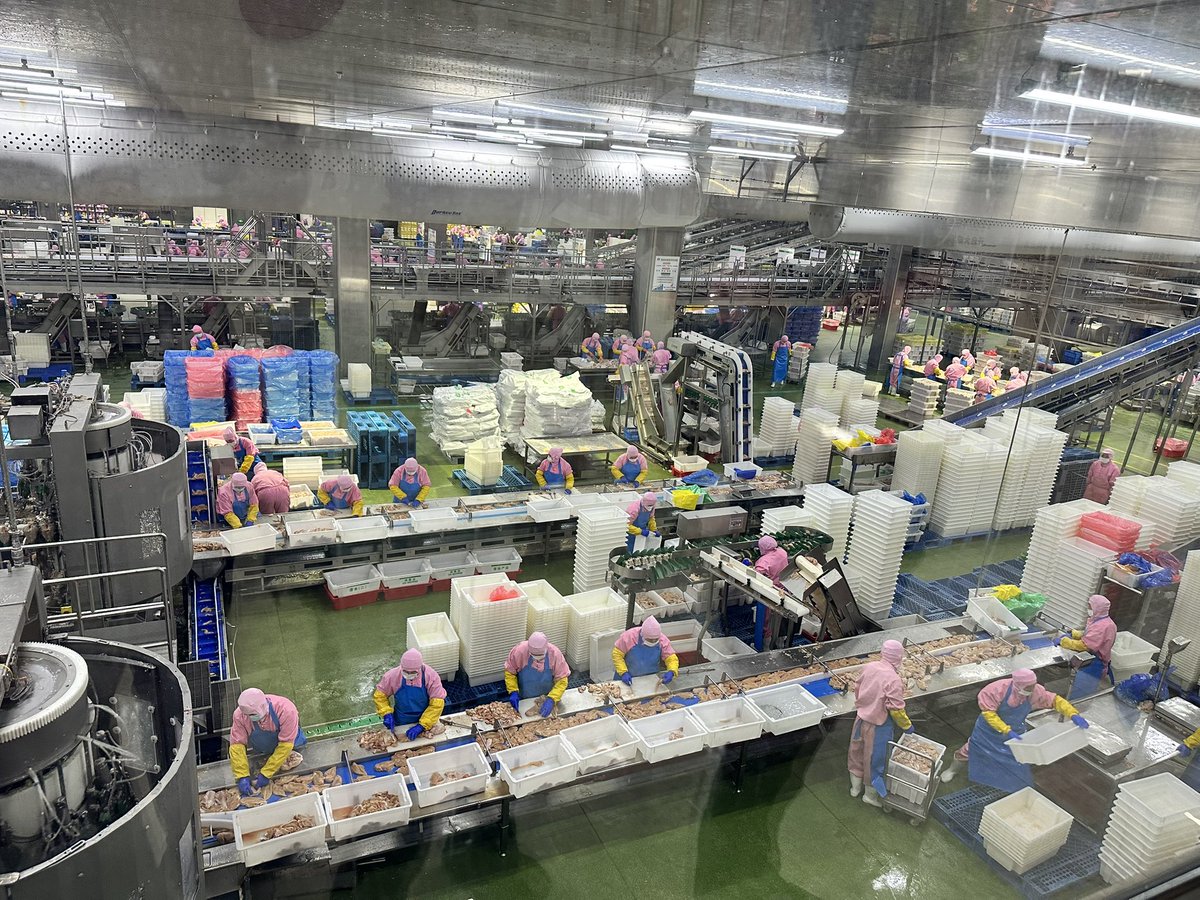 Khalil Hashmi tweet media