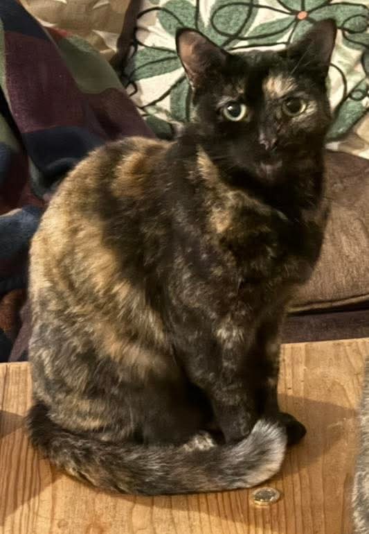 Adrian Gosling tweet media