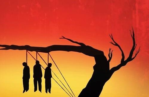 Caminante tweet media