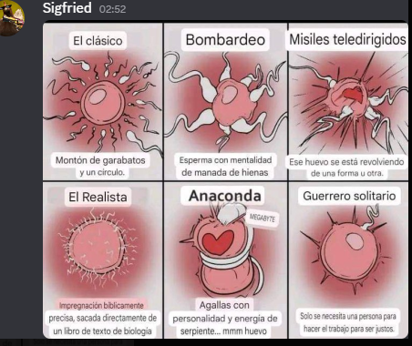 OnlyPac⁰⁶² ⁰¹⁹ tweet media