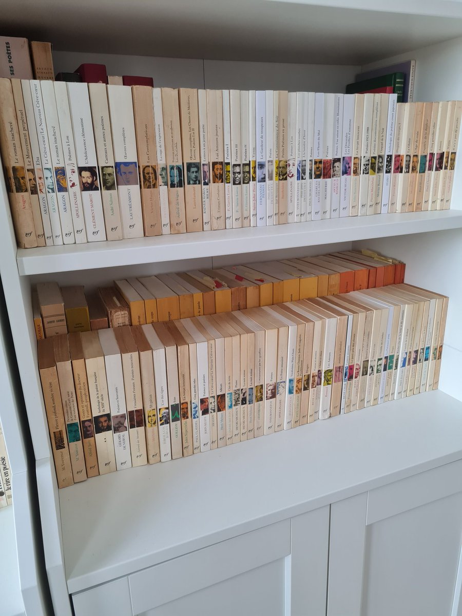 Vivien Hoch tweet media