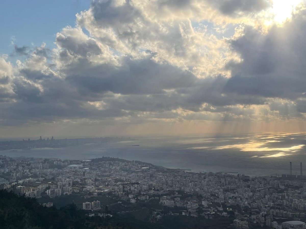 Rami Rayess tweet media