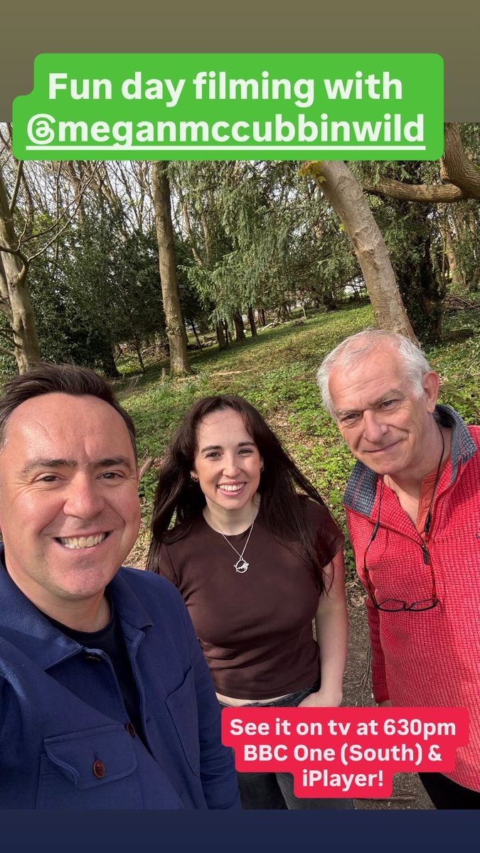 Edward Sault 📺 tweet media