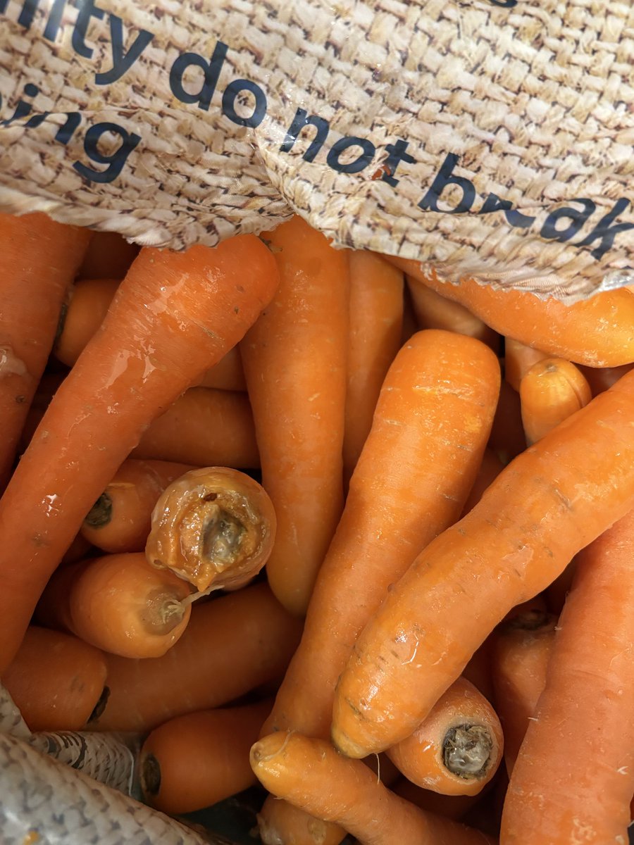 jackkart1011's tweet photo. @Tesco are these fresh carrots?!?! Pinchington Lane https://t.co/mzWOyZAHWD