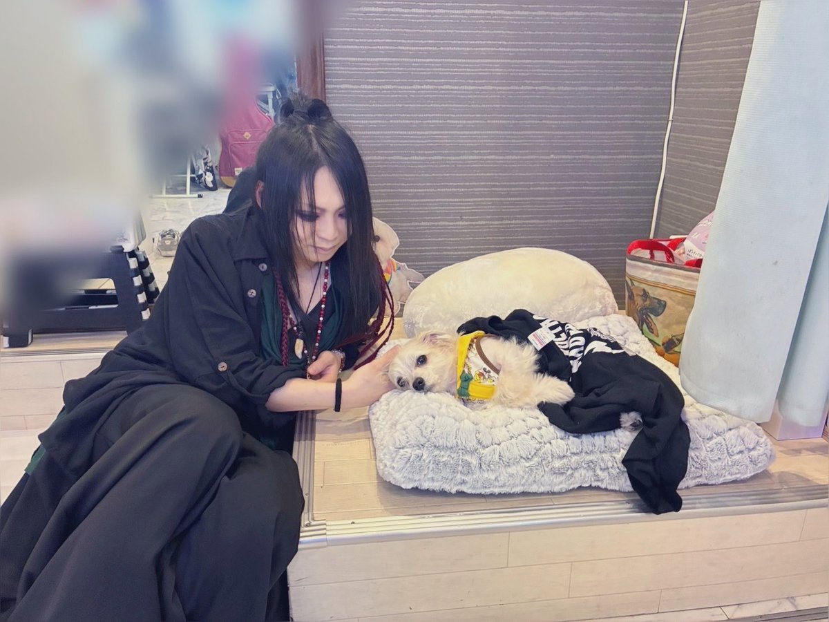 叭紅｜ハク tweet media