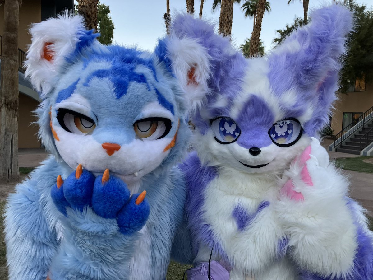 TaroAndUbe's tweet photo. Happy #FursuitFriday! Taro had to rest  after roaming around the LVFC last week but is now ready for new adventures!

#furry #fursuit #kemono #ケモノ #LVFC https://t.co/fPa7MVIuKV